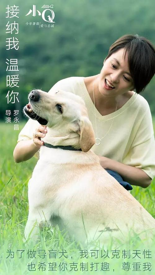 北达科他大学文凭毕业证怎么购买